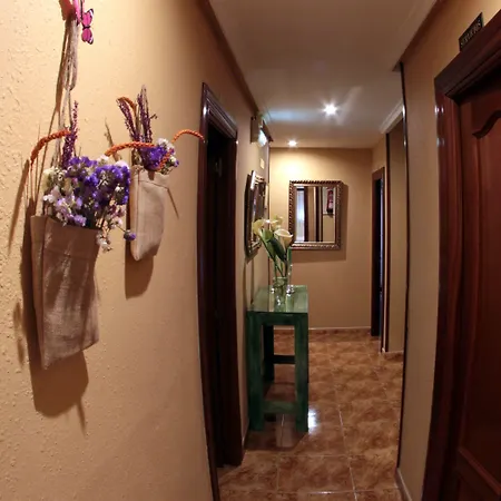 Pachin Hostal *